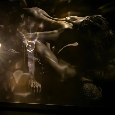 Oulala, Amour, Parking Prive Et Vive La Vie * Ruão